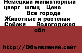 Немецкий миниатюрный(цверг) шпиц › Цена ­ 50 000 - Все города Животные и растения » Собаки   . Вологодская обл.